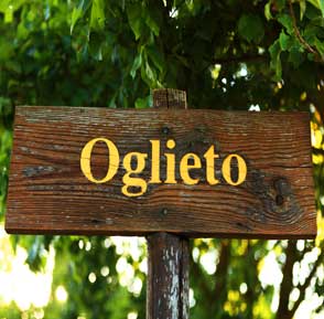 podere Oglieto