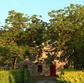 Podere Ponticello