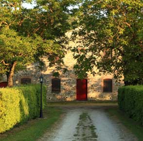 Podere Ponticello